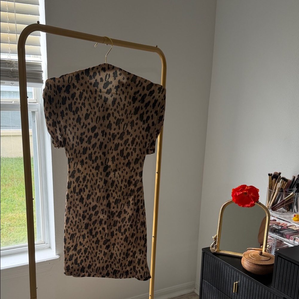 Zara Animal Print Dress in Brown and Black